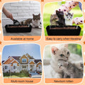 Bokon 50 Pcs 25 Set Disposable Litter Boxes for Cats with Scoop 15.7 x 11.8 x 3'' Plastic Cat Litter Tray Large Kitten Pan for Kitty Rabbit Guinea Pig Hamster Pets Supplies Travel Home Toilet(Black)