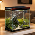 5 Gallon Fish Tank, Betta Aquarium Self-Cleaning Kits, 100% Glass Materia