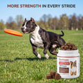 Pawvotum Amino Acids for Dogs,Dog Vitamins and Supplements, Support Immunity, Digestion, Skin & Coat, Muscle Health, Contains Lysine, DL-Methionine and Taurine
