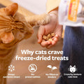 SmartyKat Freeze Dried Real Chicken & Catnip Crunchy Cube Treats for Cats, 2.8 oz Bag