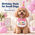 Cat Birthday Hat & Bandana Set with Age Numbers for Small Dogs Pink