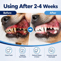 Dog Gingivitis Treatment, Gum Disease & Dog Tooth Pain Relief, 200 Tablets