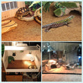 BWOGUE Reptile Carpet, 3 Pack Coconut Fiber Tortoise Carpet, Lizard Mat