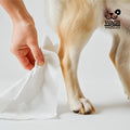 Wags & Wiggles Hypoallergenic Dog Wipes, Fragrance-Free, 100 Count
