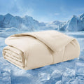 Bedsure Premium Cooling Blanket for Medium Dog - Q-MAX>0.5, Breathable Summer Washable Cold Pet Throw Blanket, Soft Durable Self Cooling Cat Mat for Hot Weather, Gentle Cream, 30x40