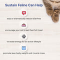 EMERAID Sustain Feline Recovery Food for Cats 100 g