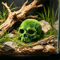 Mossy Skull Terrarium Ornament 4.5" Realistic Reptile Habitat Decor