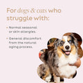 Super Snouts Daily Defense Immune Supplement for Dogs and Cats, 5.29 oz