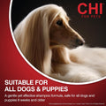 CHI for Dogs Deep Moisture Hydrating Dog Shampoo, 16 Fl Oz Bottle