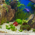 SunGrow Betta Fish Cave, Habitat Made from Coconut Shell, Soft-Textured Smooth Edged Spacious Hideout, for Resting and B