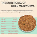FCI GRUBS Dried Mealworms 5LB-High Protein Chicken Feed,More Protein,No Additives,Premium Organic Non-GMO,Rich in Protein Meal Worms for Chickens,Wild Birds,Laying Hens,Turkeys-Nutrient-Rich Mealworms