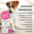 HomeoPet UTI+ Urinary Tract Supplement for Dogs and Cats, 15 Milliliters