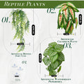 Artificial Reptile Terrarium Plants 3 Pack with Suction Cups
