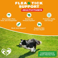 Beloved Pets Flea & Tick Support Soft Chews for Dogs + Multivitamin (10 oz)
