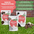 Hermit Crab Supplement Bundle – Greensand, Oyster Shell Powder and Worm Castings – Molting Support, Natural Calcium, Min