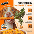 Olewo Original Carrots for Dogs – Fiber for Perfect Poop, Dehydrated Dog Food Toppers for Picky Eaters, Natural Skin & Coat Support, Multivitamin, Probiotics for Digestive & Gut Health, 1 lb