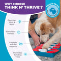 Outward Hound by Nina Ottosson Dog Brick – Interactive Treat Puzzle Enrichment Toy, Level 2 Intermediate
