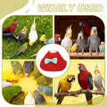 3Pcs Bird Collar Cone Protective Recovery Yellow/Green/Pink XL