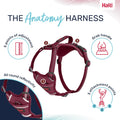 Halti Anatomy Dog Harness with Handle | Size L, Magenta