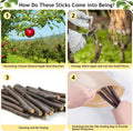 600g Organic Apple Sticks Small Animals Molar Wood Treats Toys for Chinchillas Guinea Pig Rabbits Hamster Gerbil Parrot 