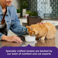 Rachael Ray Nutrish Purrfect Broths Wet Cat Food, Variety Pack, 1.4 Ounce Pouch (Pack of 24), Grain Free
