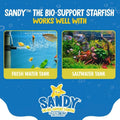 Sandy The Bio-Support Starfish - 1 Pack, Yellow- Promotes A Healthy Balanced Aquarium Ecosystem, Probiotic Growth, Tank 