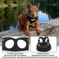3 Pack Rat Ferret Squirrel Harness and Leash Set