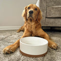 Mora Ceramic Pet Bowl Size Medium - Food/Water Dish for Large Puppies, Cats, Retrievers, Medium Sized Dogs, ect. 28oz or
