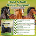 Silver Lining Herbs Laminae Hoof Supplements for Horses - 1 lb