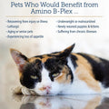 Rx Vitamins Amino B-Plex Cat & Dog Supplement - Vitamin B Complex Liquid Plus Amino Acids for Dogs & Cats - Appetite Booster and Cat & Dog Weight Gainer - Supplements & Vitamins - 8 oz