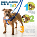 2 Hounds Design Freedom No Pull Dog Harness, 1 inch LG