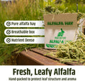 High Desert Alfalfa Hay for Young Rabbits and Guinea Pigs, 5 lb Box