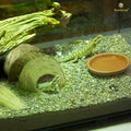 SunGrow Hermit Crab Coconut Cave, Spacious Hide Interior Habitat Comfort Zone, Ascension Coco Shelter Tank Decor Utility