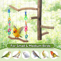 Bird Toys, Bird Swing Toys with Perch Stand, Cage Accessories for Cockatiels, Parakeets & Other Medium Birds