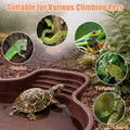 Petmolico Large Reptile Water Dish Non-Slip Bottom Habitat Accessories