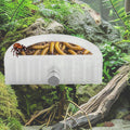 5pcs Jumping Spider Feeding Dish Kit, Jumping Spider Food Feeder Water Bowl