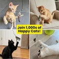 Forever Stick Refill 9-Pack, Feather Cat Wand Toy Attachment