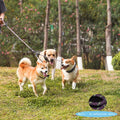 3 Dog Leash for 1-3 Dogs, Multiple Dog Leash, 360° Swivel No Tangle, Purple