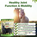 Silver Lining Herbs Horse Joint Supplement - Mobility & Comfort