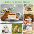 300g Sweet Bamboo Sticks for Rabbits, Bunny Chew Toys for Small Pets