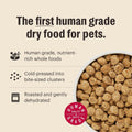 The Honest Kitchen Essential Clusters Whole Grain Beef & Chicken Recipe, Vet-Recommended Human Grade Dry Dog Food for Ad