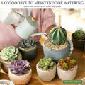 8LB 1-2mm Horticultural Sand for Succulents and Cactus Soil