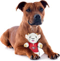 Pets First NFL SAN Francisco 49ERS Goat Plush Toy for Dogs and Cats with Squeaker, Wearing a Team Jersey! Fun & Sporty G