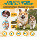 1-TDC Dual Action Joint & Gum Support Soft Gels for Dogs & Cats - 120 ct