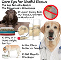 The Blissful Dog Elbow Butter for Dry, Cracked Calluses, Lick-Safe Dog Balm, Soothing Elbow Balm with Moisturizing Shea Butter, Almond, Olive, and Essential Oils, Pet Supplies, 2.25 oz. Stick
