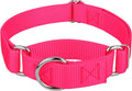 Country Brook Petz - Martingale Dog Collar - Heavy-Duty Training Collar with No Buckle - Service Dog Collar for All Pups