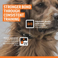 SportDOG Brand Rechargeable In-Ground Fence System - Waterproof, Rechargeable Collar with Tone, Vibrate, and Static - Expandable to Contain Unlimited Dogs