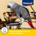 Vitakraft Menu Parrot Food 5 lb.