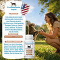 Cat Dogs Dewormer for Cats Dogs – Fenbendazole Liquid Broad Spectrum Wormer for Tapeworms, Roundworms & Hookworms,120 ML (4.2 Fl Oz)