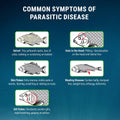 Fritz Aquatics ParaCleanse Provides Fast Relief from Parasitic Diseases (20-Count)